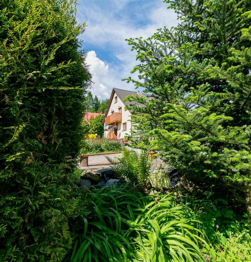 Apartament I Pokoje Goscinne U Lusi Wisła Exterior foto